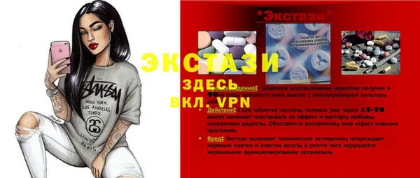 стаф Алзамай