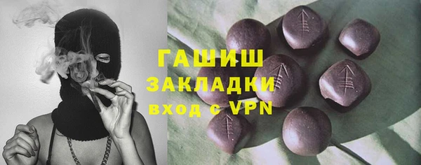стаф Алзамай