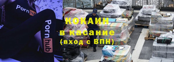 стаф Алзамай