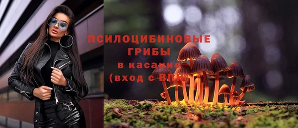таблы Алексин