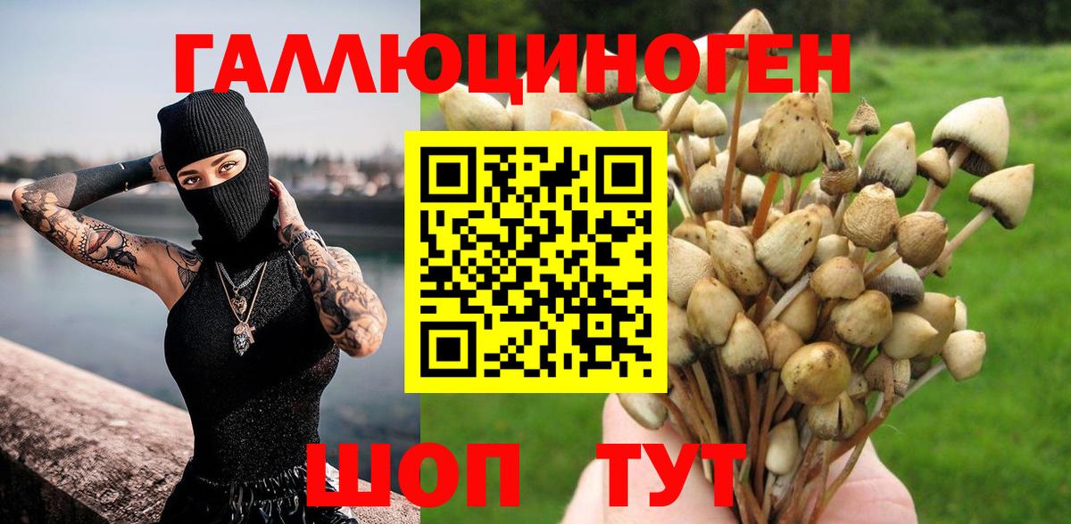 Лесосибирск  Галлюциногенные грибы мицелий  Вход с VPN 