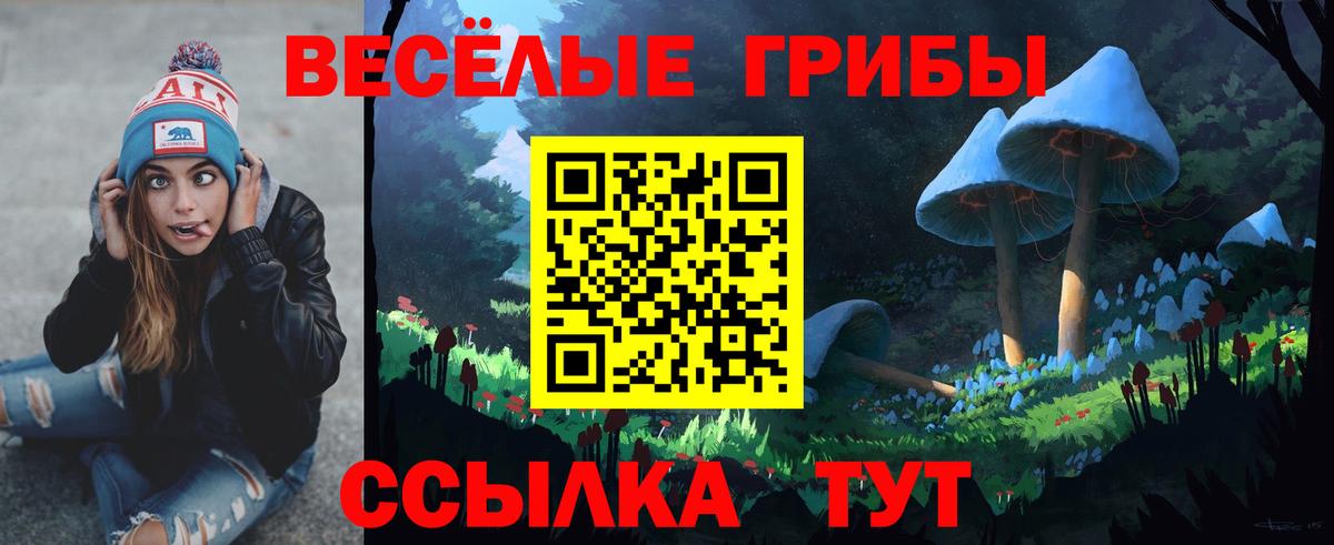 Псилоцибиновые грибы Psilocybine cubensis Лесосибирск