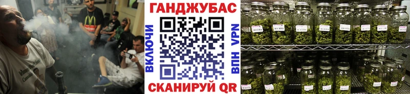 как найти наркотики  Лесосибирск  Бошки марихуана Ganja 